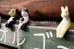 hokkaido08011FS