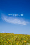 hokkaido08099S