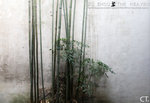 SuZhou08_122FS