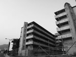 P1060569p