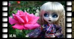IMG_0913