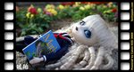 IMG_1009