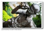 IMG_1372