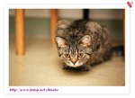 IMG_7107