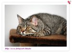 IMG_7138