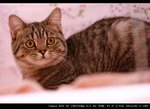IMG_7549