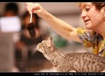 IMG_7565