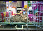 IMG_8046