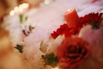 IMG_1493