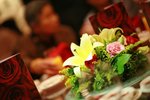 IMG_1516