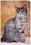IMG_3996