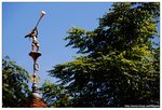 IMG_3592