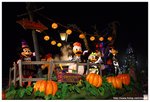 IMG_5979