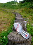 DSCF0184-2