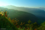 DSCF0303-2