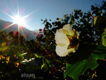 DSCF0358-2