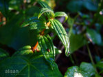 DSCF0359-2_2