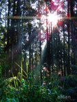 DSCF0373-2