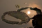 _MG_5121