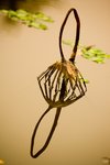 _MG_5174
