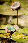 _MG_5226