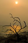 _MG_5350