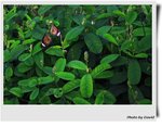 IMG_7117_nEO_IMG