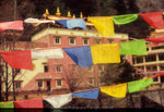 201304_Fm2_fortia001