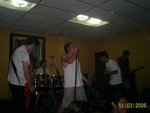 armadillo punk (8)