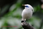 aDSC_5443