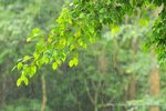 aDSC_6928