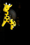 ssDSC_5557