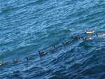 10-Chicago_3717