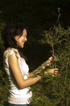 05-Ivy_7013