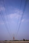 Nam Shan Wai_5208