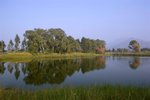 Nam Shan Wai_5221