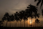 Maldives_0015