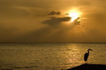 Maldives_0385