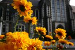 NZ-Christchurch-6140b
