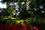 NZ-Christchurch-6302