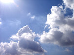 DSCF4856