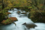 20081027_136_Resize