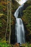 20081028_144_raw_Resize