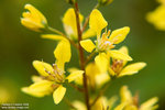 Macro 20060924 001