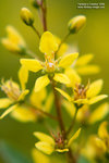 Macro 20060924 002