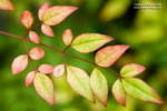 Macro 20060924 004