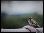 
�t��