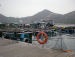 DSCN3753