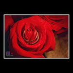JLb0001-IMG_6861