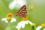 DSC_2845_resize